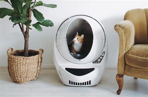 litter robot where to buy